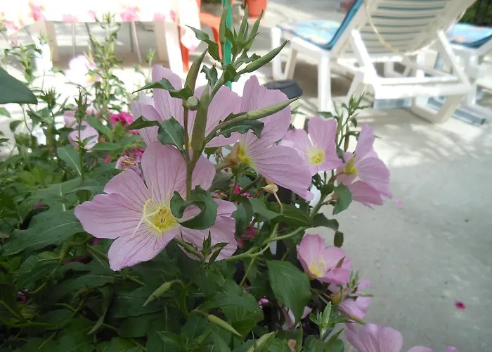 πανσιόν γιώργος&ράνια *